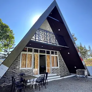 Pine Trees Gold Chalet